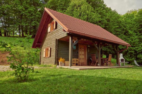 Srčna, Tri Vile, a beautiful log cabin with amazing view
